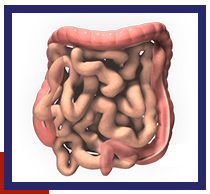 Colorectal Surgery